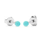 The Teeny Turquoise Earrings