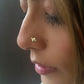 The Fishwish Nose Pin